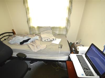 Picture 13
